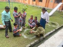 एनईपी 2020 के कार्यान्वयन का तीसरा वर्ष वृक्षारोपण अभियान/Tree plantation Drive  3rd year of implementation of NEP 2020